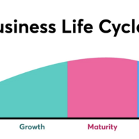 Business Life Cycle