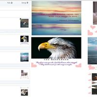 Social Media Management