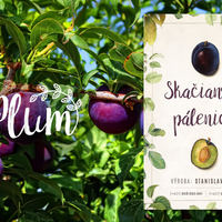 Distillery Bottle Label - Plum