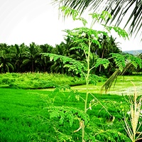#photography