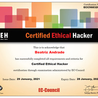 CEH Certified Ethical Hacker