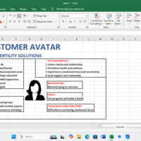 Customer Avatar