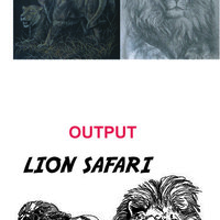 Portfolio Thumbnail 1