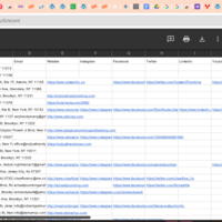 Leads Generated using Yelp