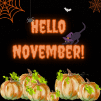 Portfolio Thumbnail 11