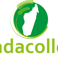 LOGO MADACOLLECT