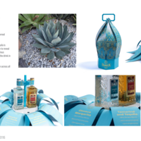 Pernod Ricard Olmeca tequila (Award winning)