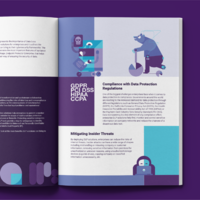 Layout & Data Visualization