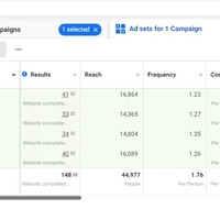 Client's Facebook ad stats