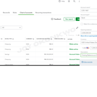 Chart of Accounts set-up
