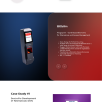 SmartiSystem website design, Development and SEO
