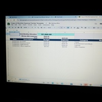 Expenses tracking.