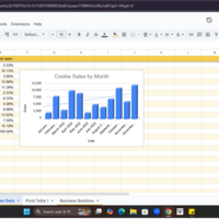 sample data analyst