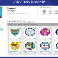 Credly Badges Earned (Virtual Assistant)