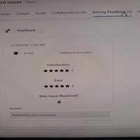 Survey feedback for fixing word issues.
