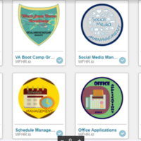 Credly Badges