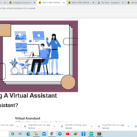 Email Marketing (Mail Chimp)