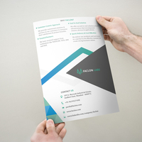 Faclon Labs - Trifold Brochure Design