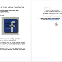 Social Media Marketing Campaign