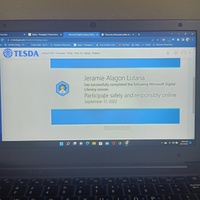 certification in online safety and responsible participation