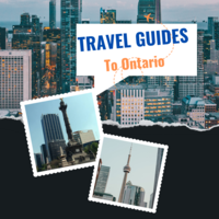 Book Cover designed 