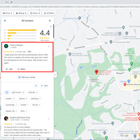 Posting Google Review to Increase Ratting