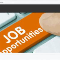 Remote-Job-Listing web App