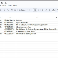 Google Form
