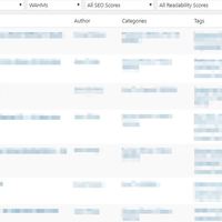 WordPress Management - Category and Tags