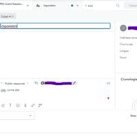 Zendesk CRM tool for High ticket Customer Support