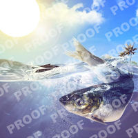 Portfolio Thumbnail 2