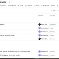 Asana project management tool