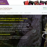 Portfolio Thumbnail 11