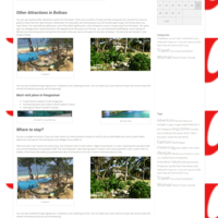 Wordpress Management