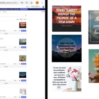 Social Media Management