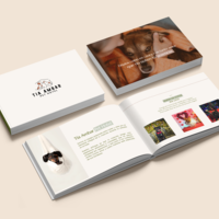 Branding Guide