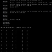 Portfolio Thumbnail 5