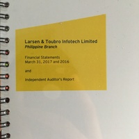 Published Financial Statement for a client - Audit job
