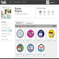 badges earned from VA intensive training quizzes