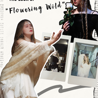 Design for Music Promotion — “Flowering Wild”