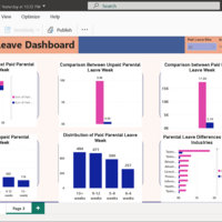Parental leave Analysis (Dashboard)