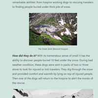 Content Creation: Managing Wordpress page 4