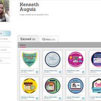 Badges earned durin completion of lessons