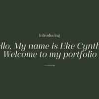 Portfolio Thumbnail 1