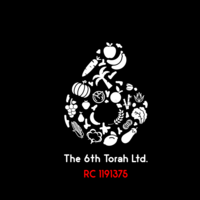 6th Torah Logo