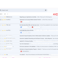 EMAIL MANAGEMENT ( Cleaning organizing result) 