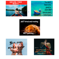 Canva posts