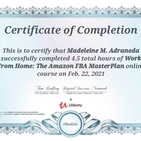 Amazon Fba Master Plan