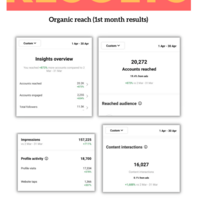 Instagram Engagement Results
