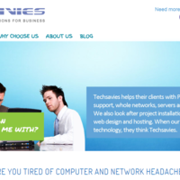 Techsavies IT website